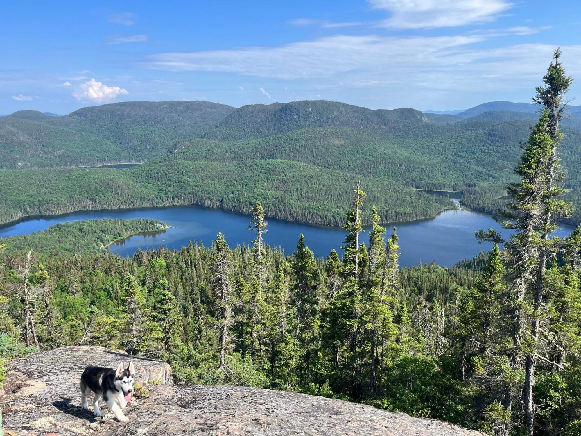 Auberge Boreale De Charlevoix Petit-Saguenay Eksteriør bilde